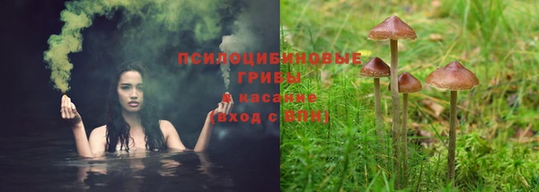 гидра Армянск