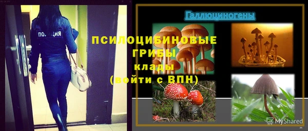 герыч Арсеньев