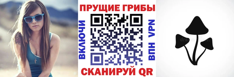 Галлюциногенные грибы ЛСД  Ржев 